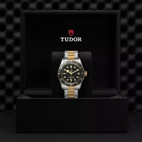 TUDOR Black Bay S G 41mm Watch M79733N 0008