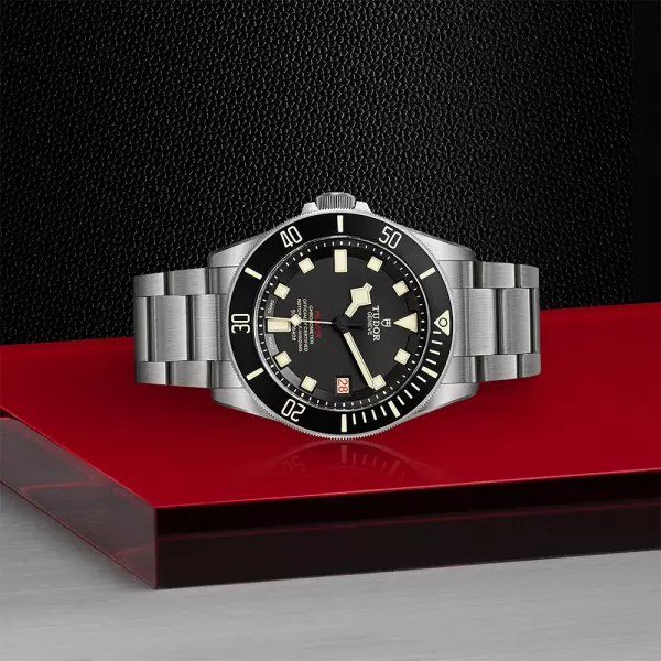 Tudor diver discount