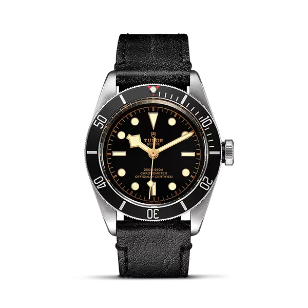 Tudor black bay p02 discount