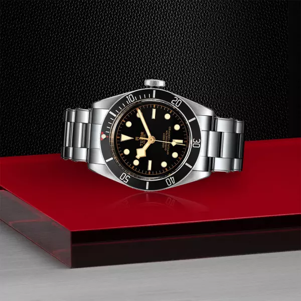 Tudor black bay 42mm sale