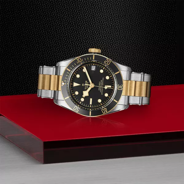 TUDOR Black Bay S G 41mm Watch M79733N 0008
