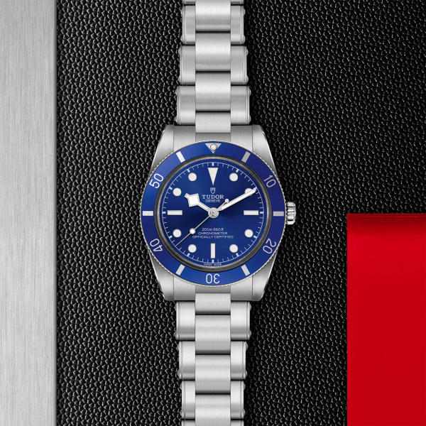 Tudor Black Bay 54 Steel 37mm Watch M79000B-0001
