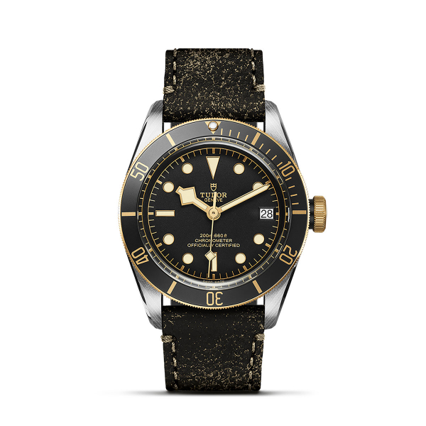 TUDOR Black Bay S&G 41mm Watch 79733N-007